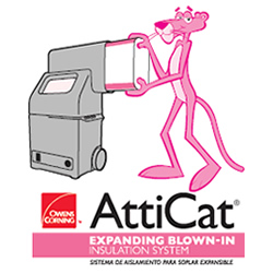 atticat.jpg